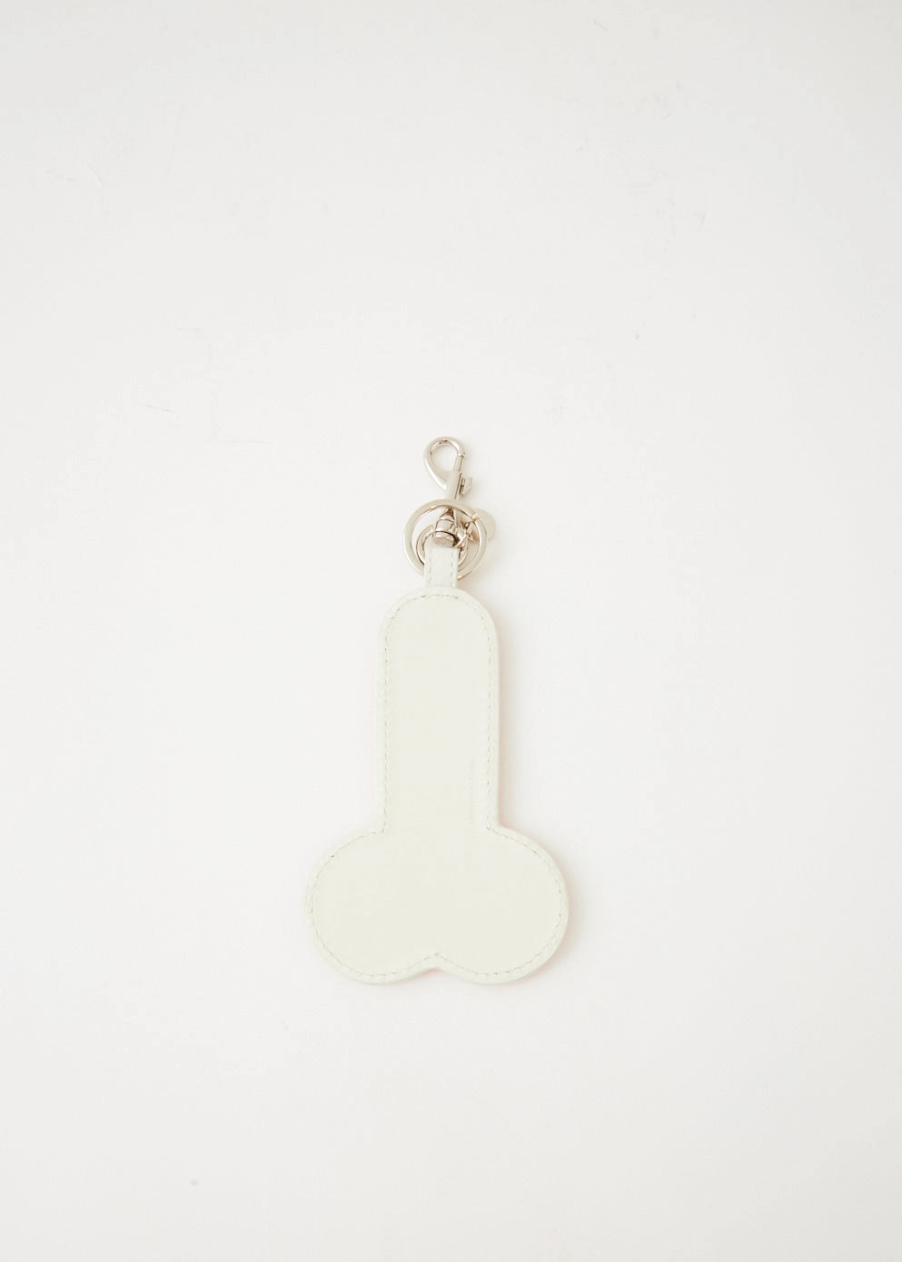 Anatomy Keyring